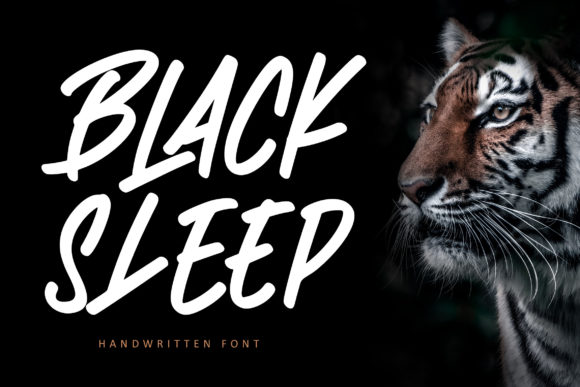 Black Sleep: A Street-Style Font for Bold Web Design