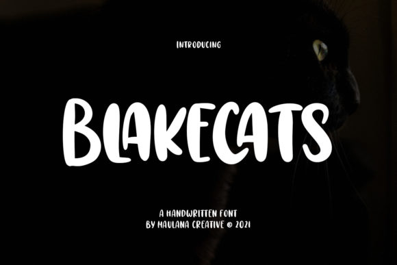 Blakecats: A Bold Display Font for Creative Branding