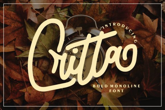 Critta Display Font for Web Design and Branding