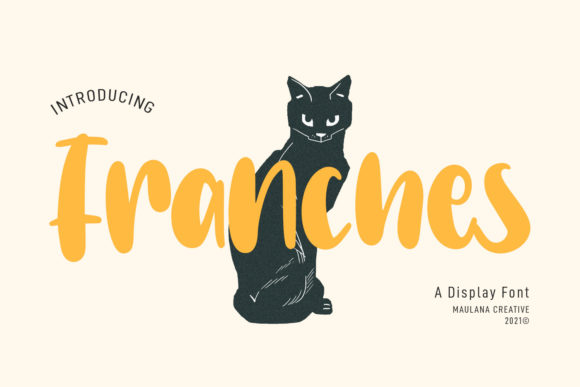 Franches: A Playful Display Font for Creative Makers