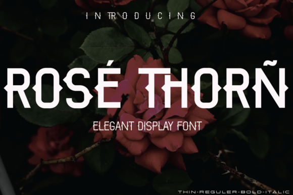Rose Thorn Display Font for Bold Editorial Design